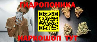 гашиш Гусиноозёрск